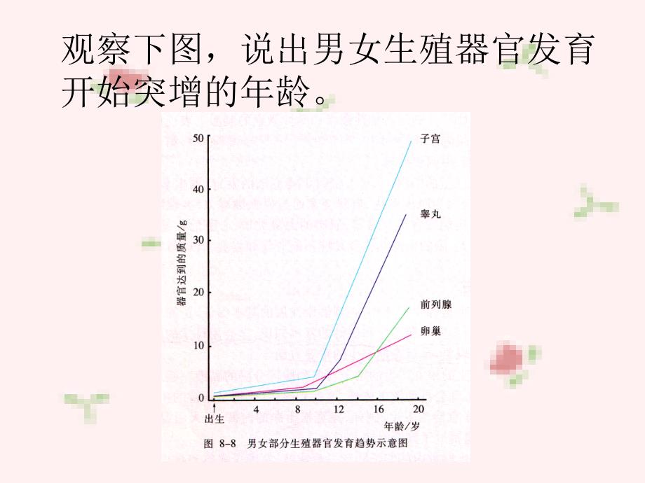 青春期生长发育的特点课件_第5页