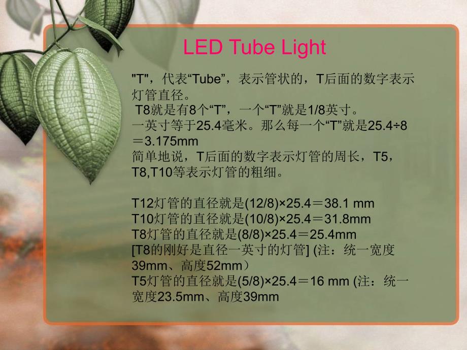 LED tube light_第1页
