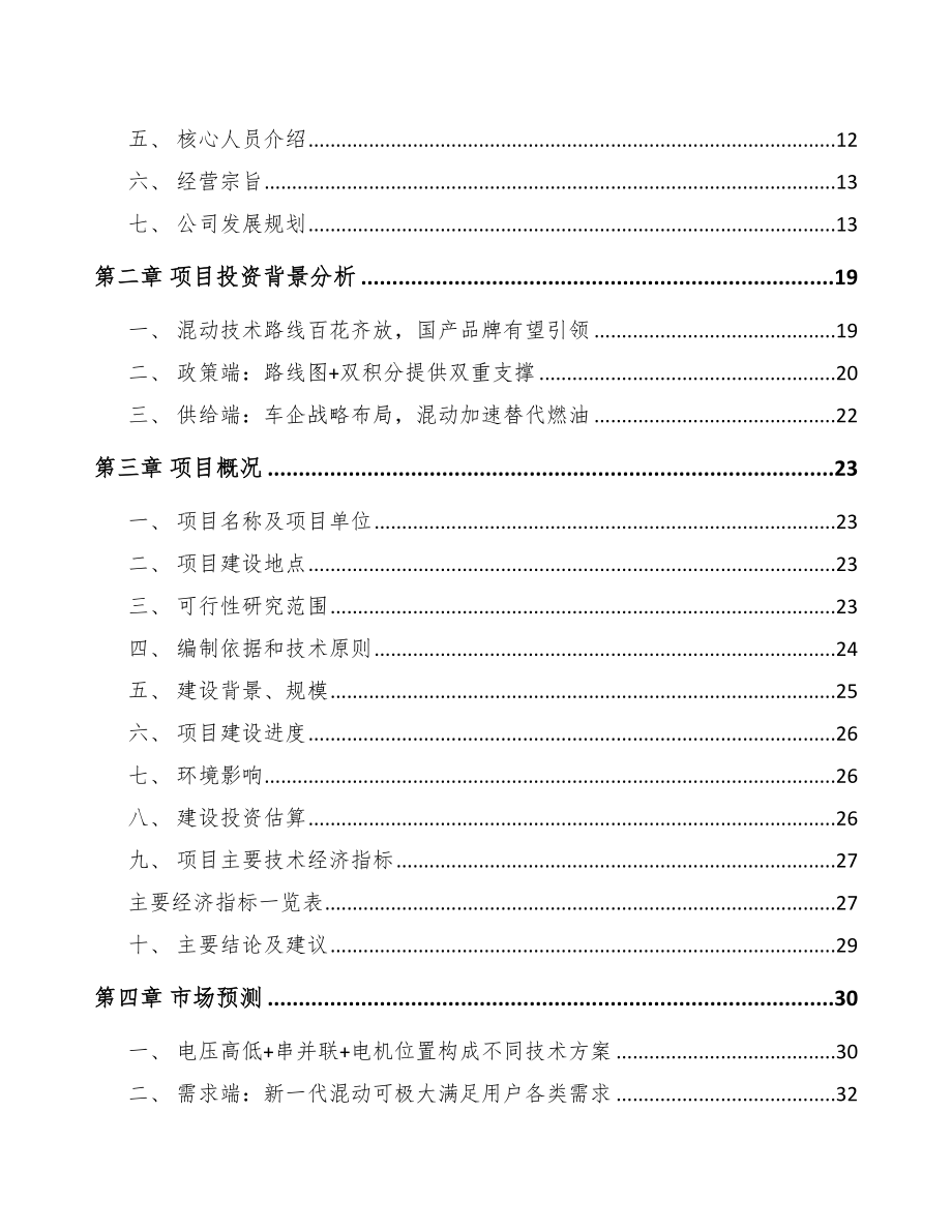 漳州混动汽车项目可行性研究报告_第3页