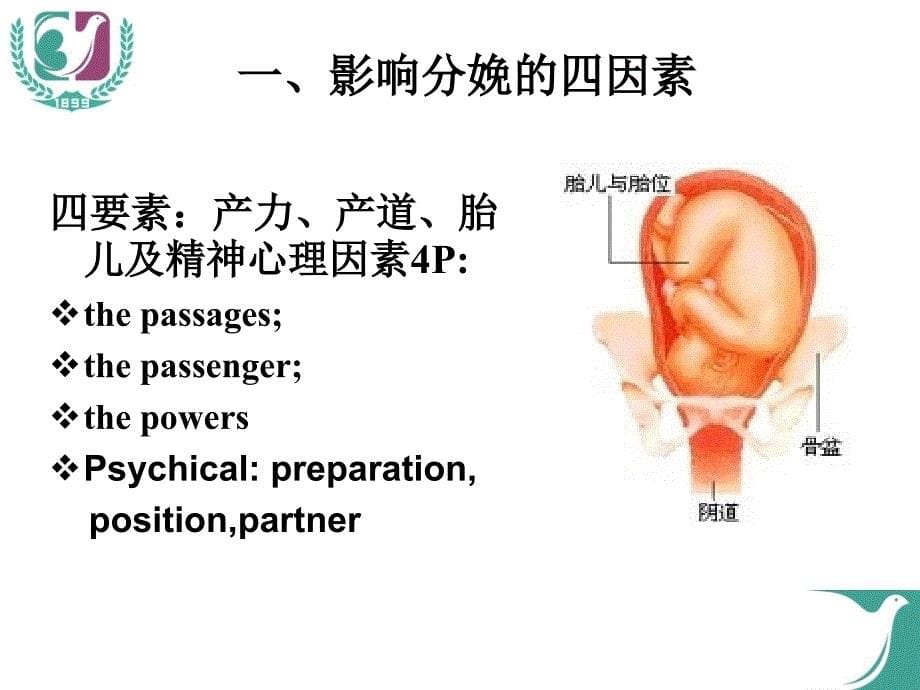 分娩三要素的评估和风险预警终板ppt课件_第5页