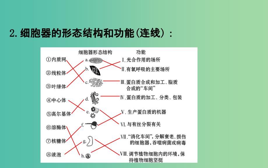 高考生物大一轮复习高考预测第二部分细胞的基本结构与物质运输2.2细胞器和生物膜系统课件.ppt_第4页