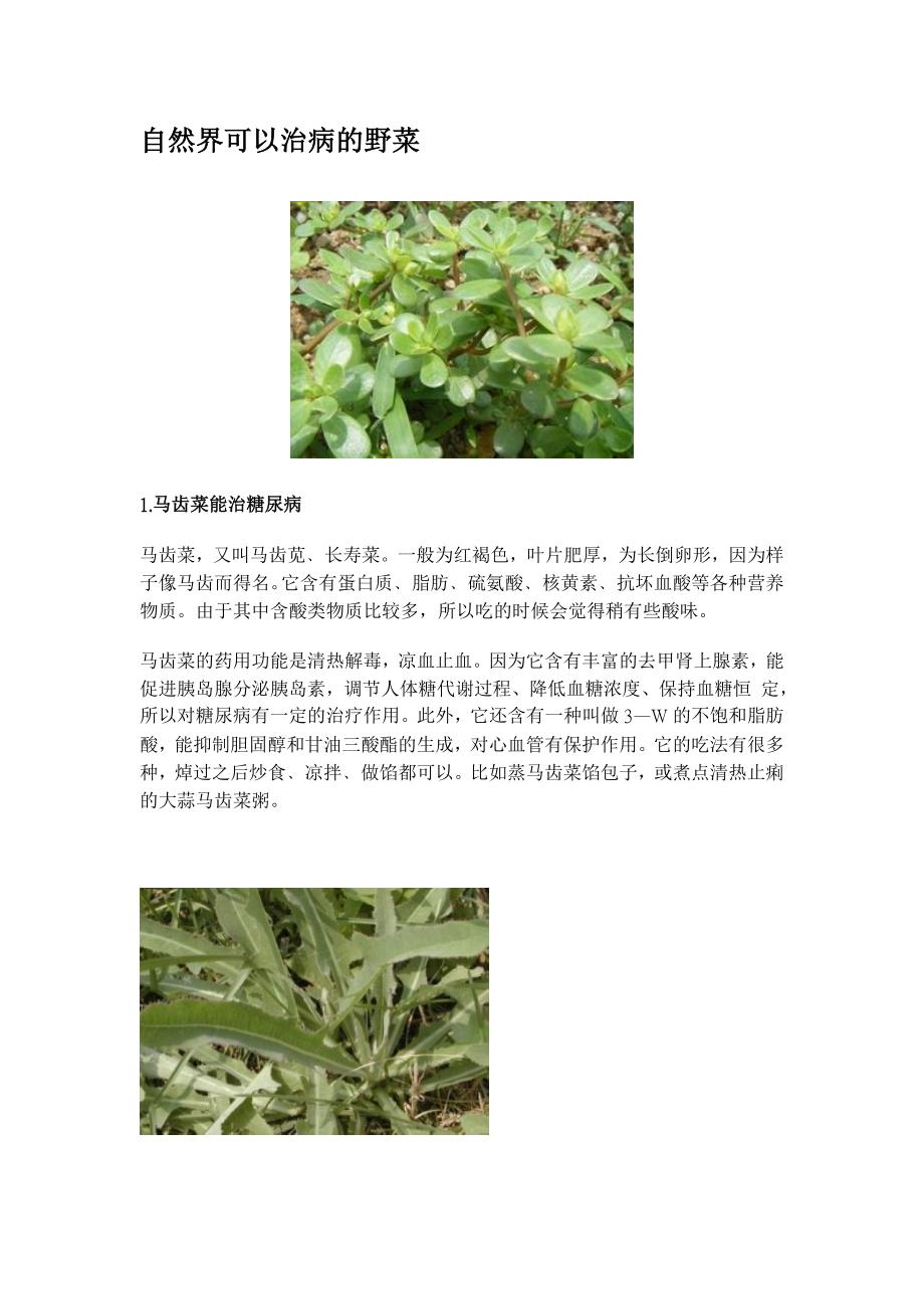 自然界可以治病的野菜_第1页