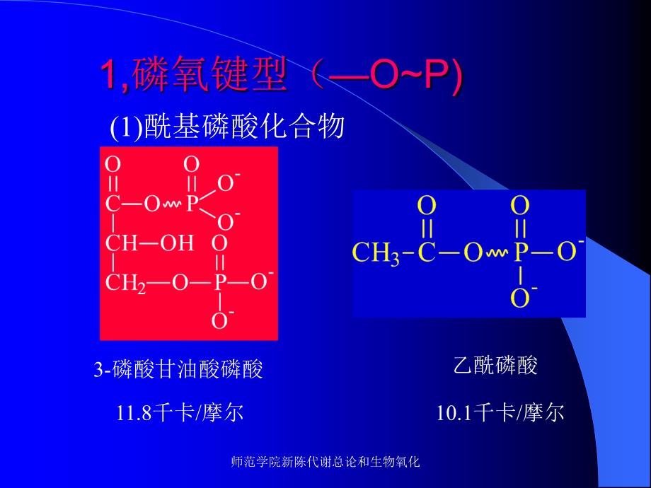 师范学院新陈代谢总论和生物氧化课件_第4页