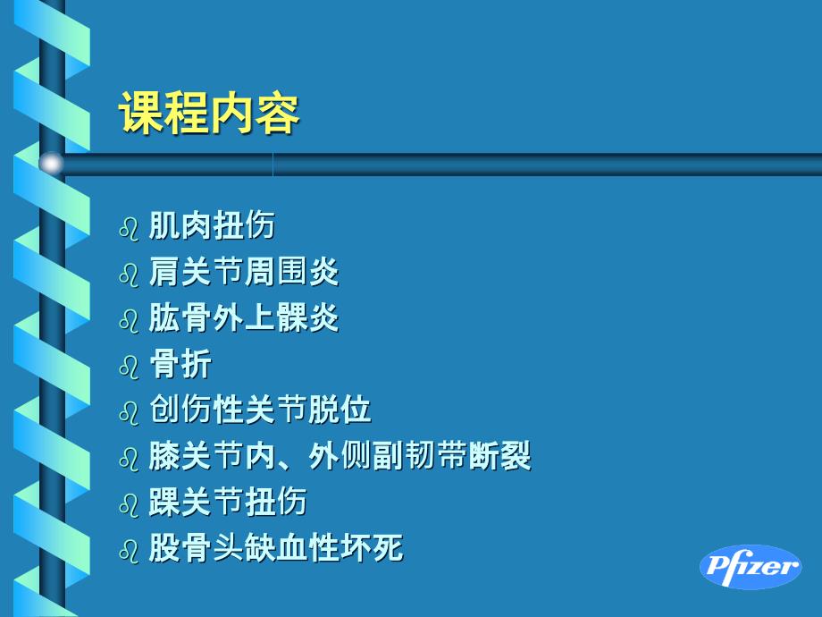 国家基本药物临床应用指南骨科疾病基本药物临床应用_第2页