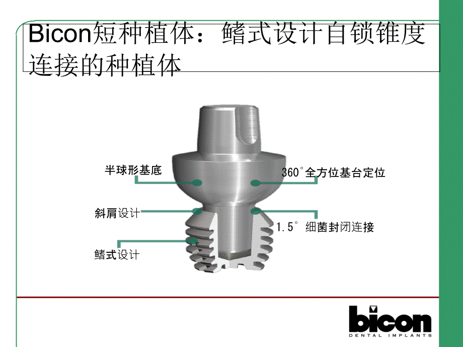 Bicon口腔种植系统简介1_第2页