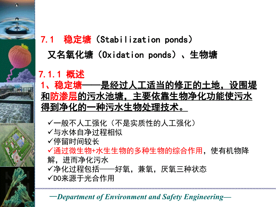 水处理工程（二）——生物化学处理：7 污水的自然生物处理_第3页