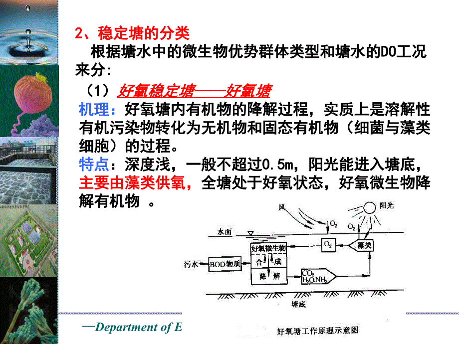 水处理工程（二）——生物化学处理：7 污水的自然生物处理_第4页