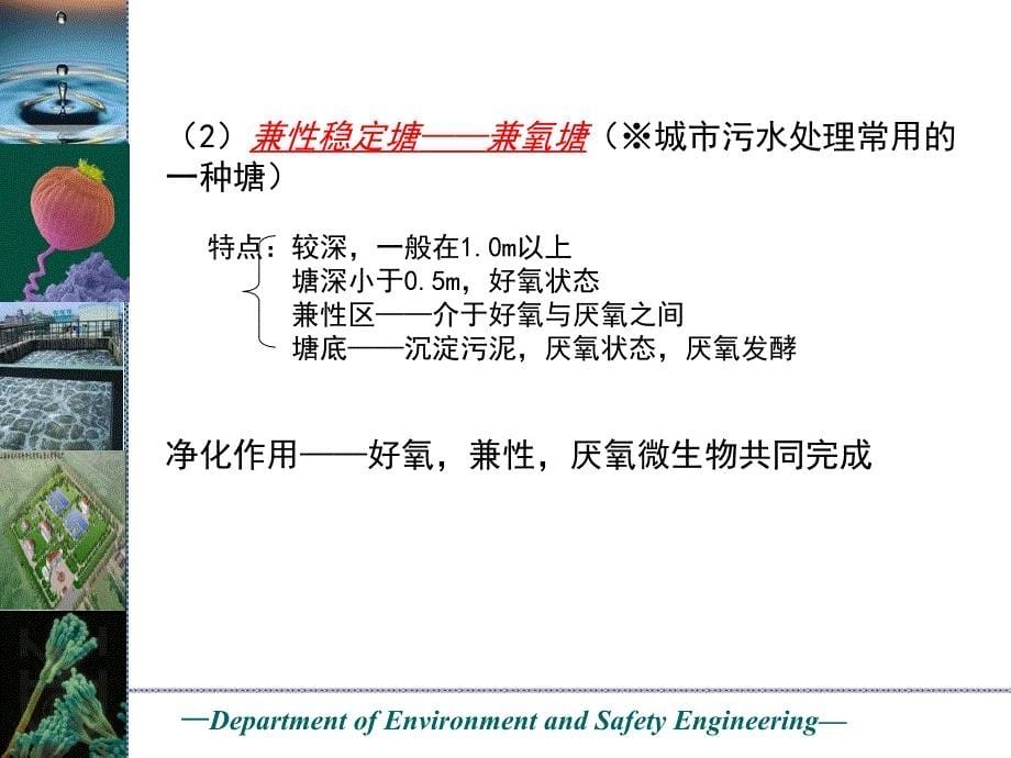 水处理工程（二）——生物化学处理：7 污水的自然生物处理_第5页