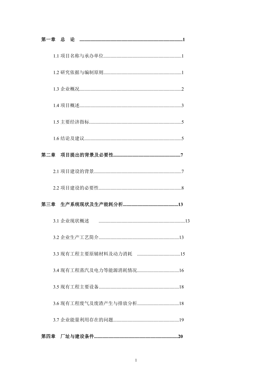 20万吨年联碱装置生产能量系统优化工程建设可行性论证报告.doc_第2页