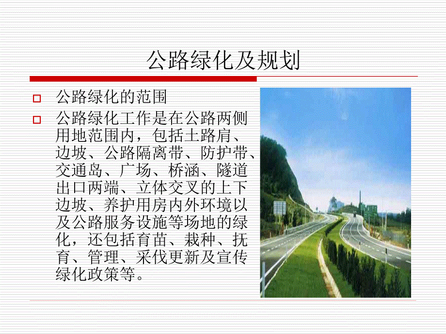 公路绿化与环境保护_第2页