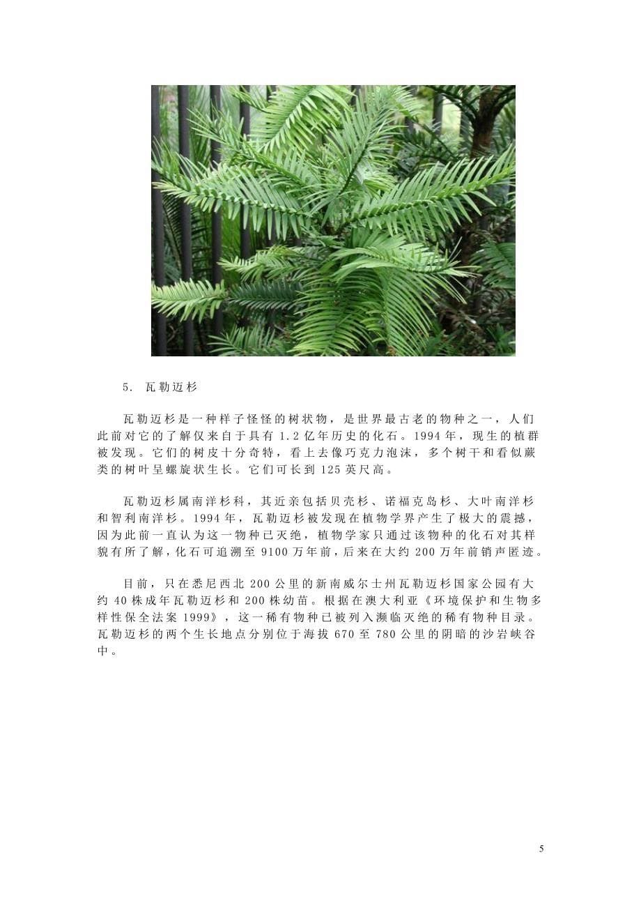 16种最奇异植物.doc_第5页