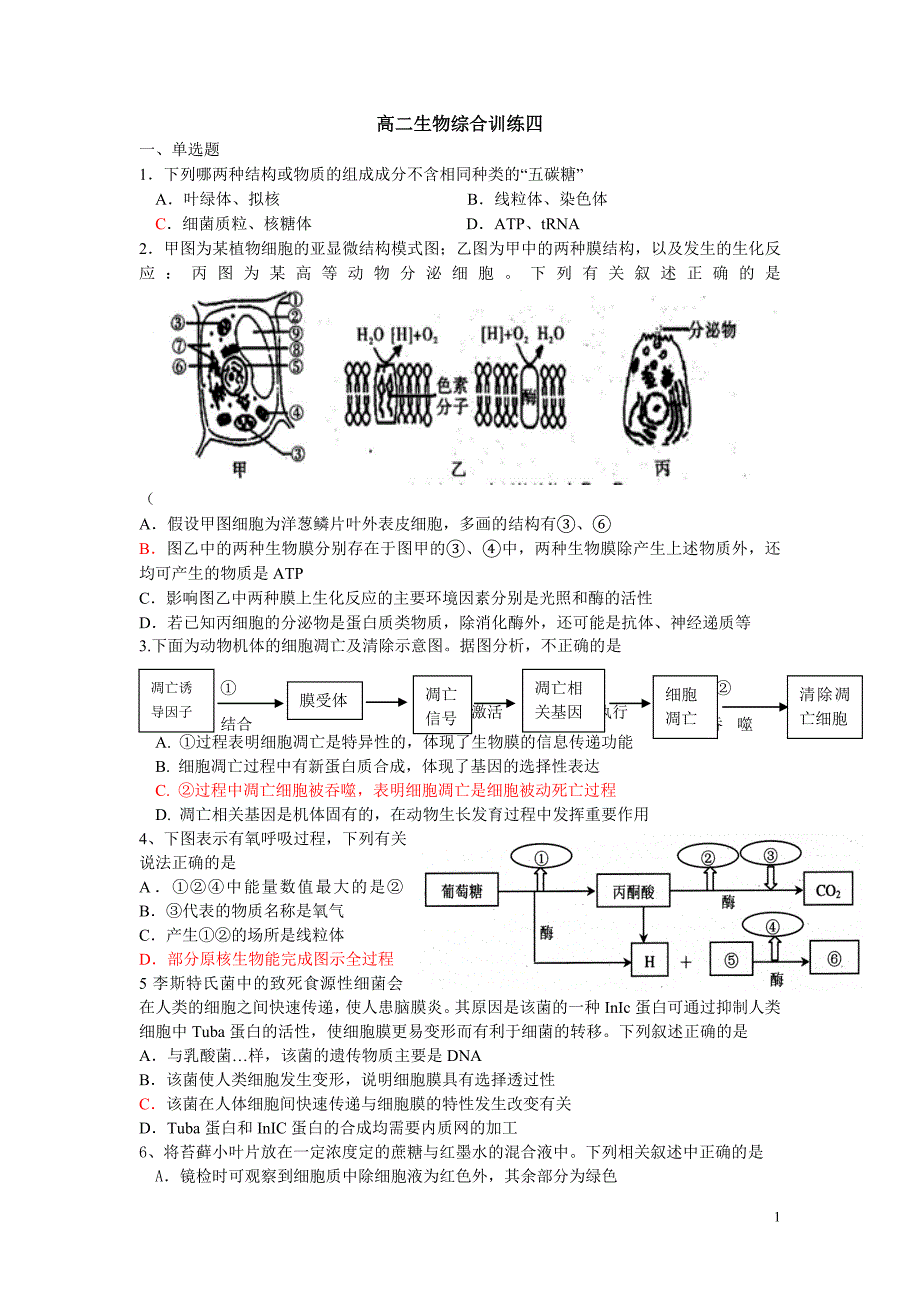 高二生物综合训练四jiu.doc_第1页