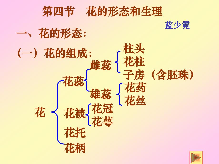 四节花的形态和生理_第1页