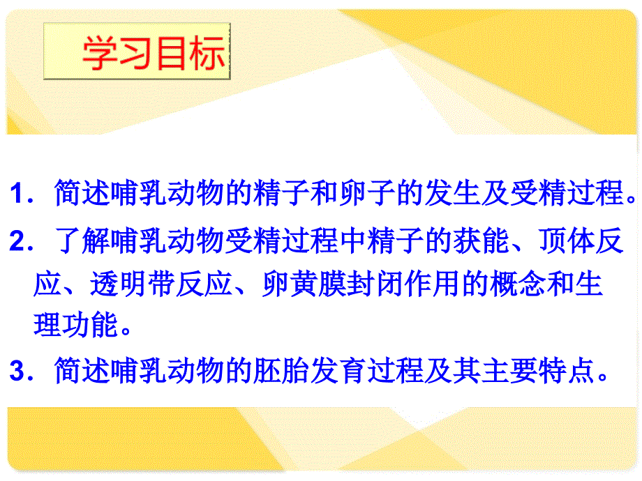 体内受精早期胚胎发育课件_第2页