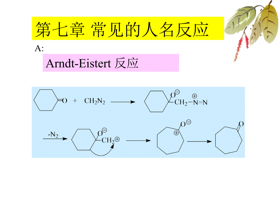 常见的人名反应课件.ppt_第1页