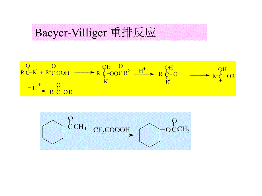 常见的人名反应课件.ppt_第4页