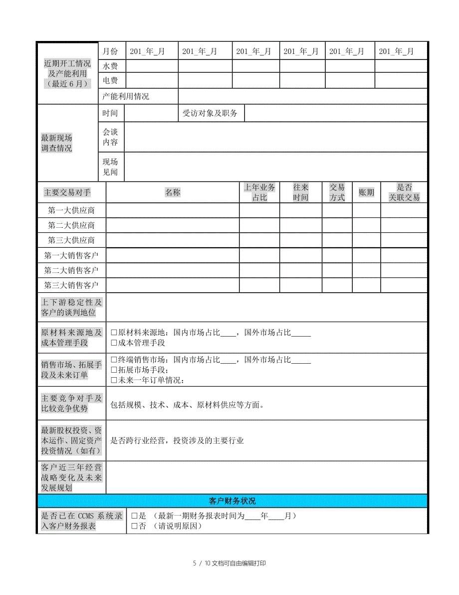 中型客户发起报告模板_第5页