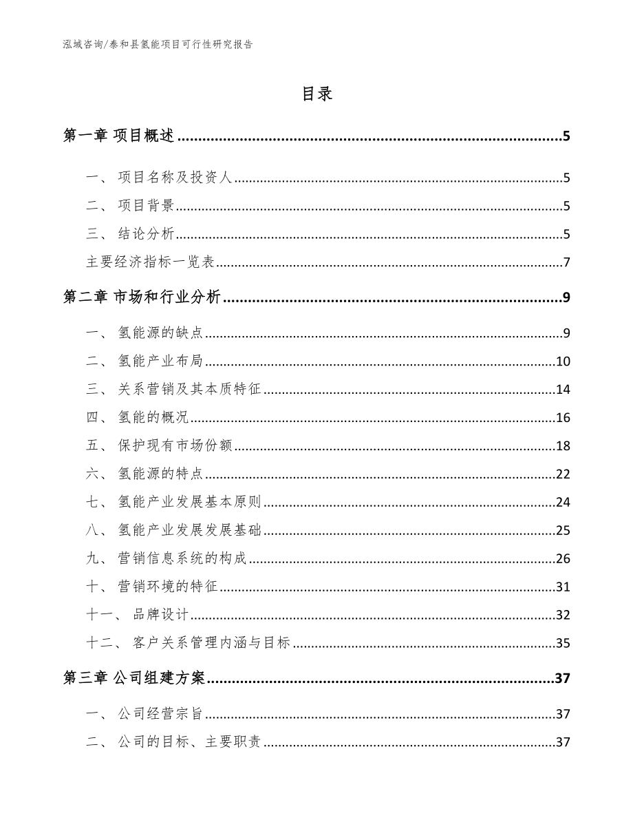 泰和县氢能项目可行性研究报告（模板）_第1页