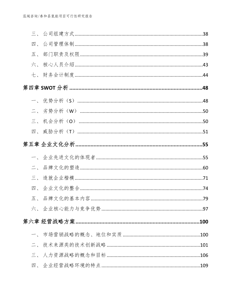 泰和县氢能项目可行性研究报告（模板）_第2页