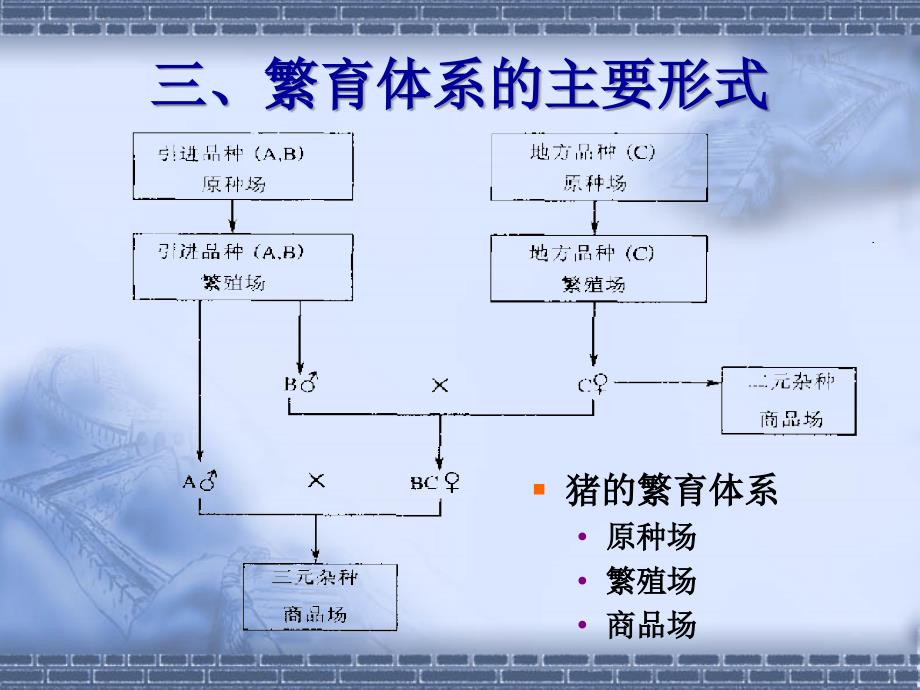 第十二章繁育体系与育种的组织_第4页