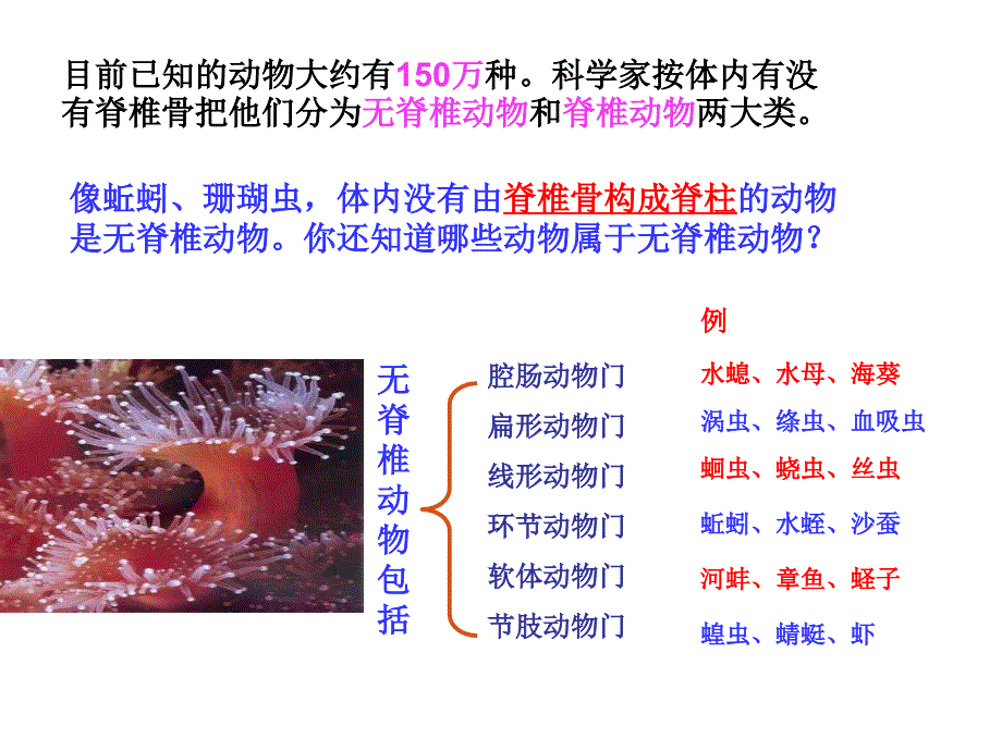 第四节、鱼(公开课课件)_第2页