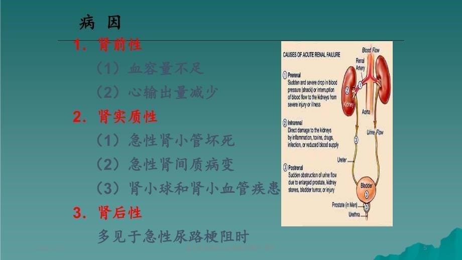 急性肾衰竭病人的抢救护理2_第5页