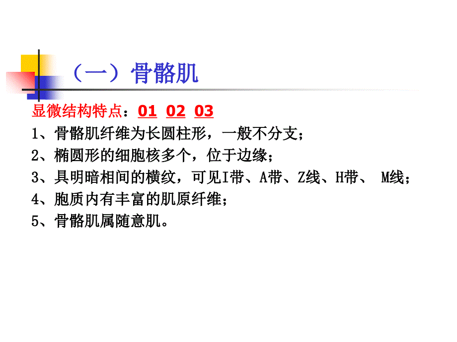 肌肉和神经PPT课件_第2页