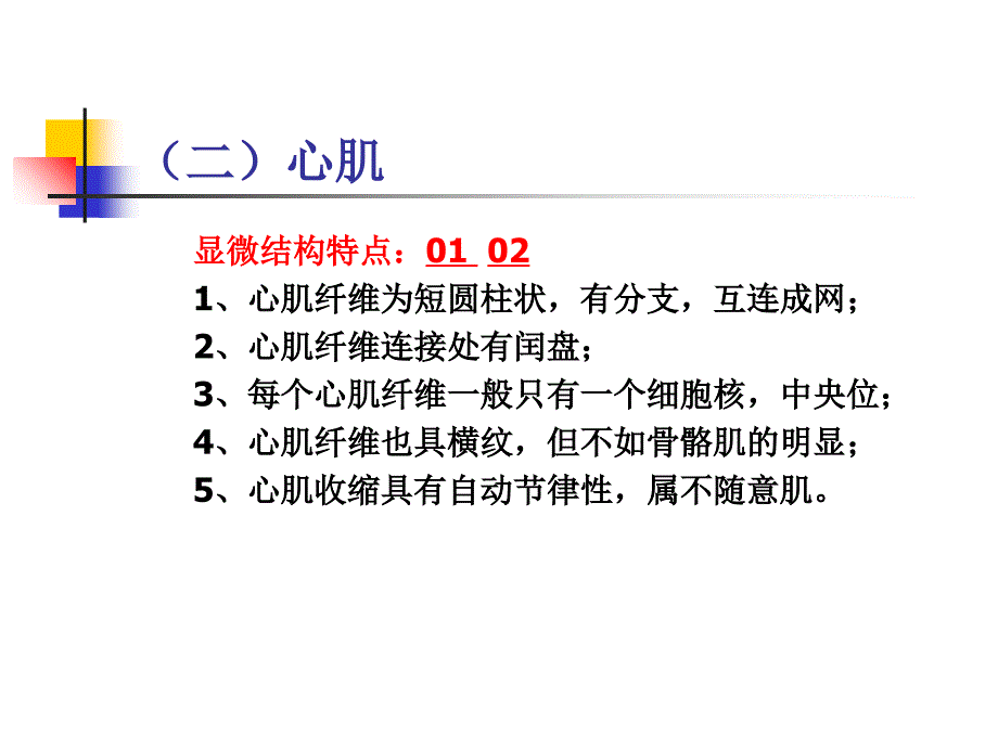 肌肉和神经PPT课件_第3页