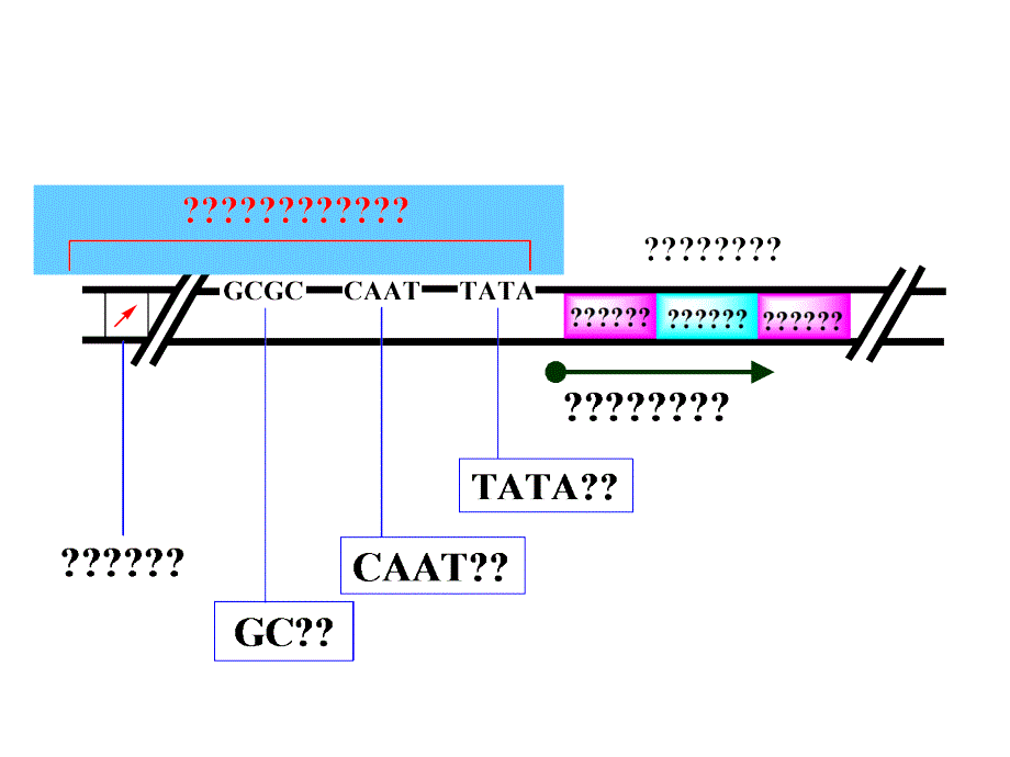 核酸分子的杂交技术.ppt_第4页