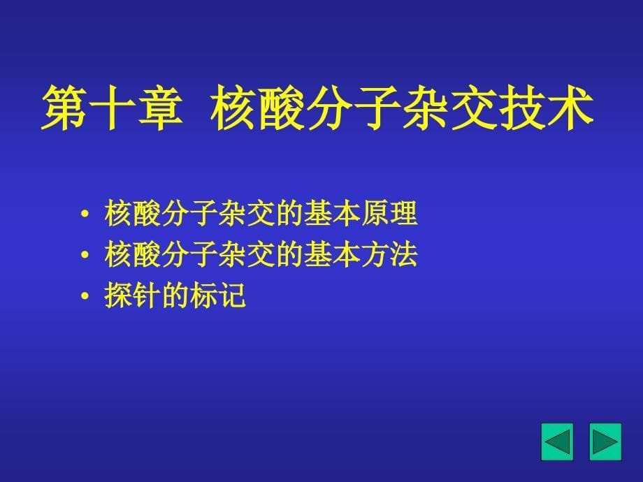 核酸分子的杂交技术.ppt_第5页