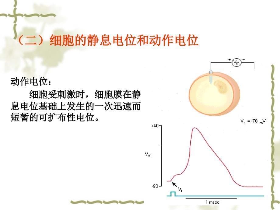 生理学细胞生理生物电肌收缩_第5页