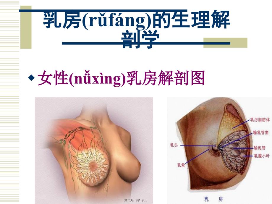 乳腺疾病科普知识复习课程_第2页