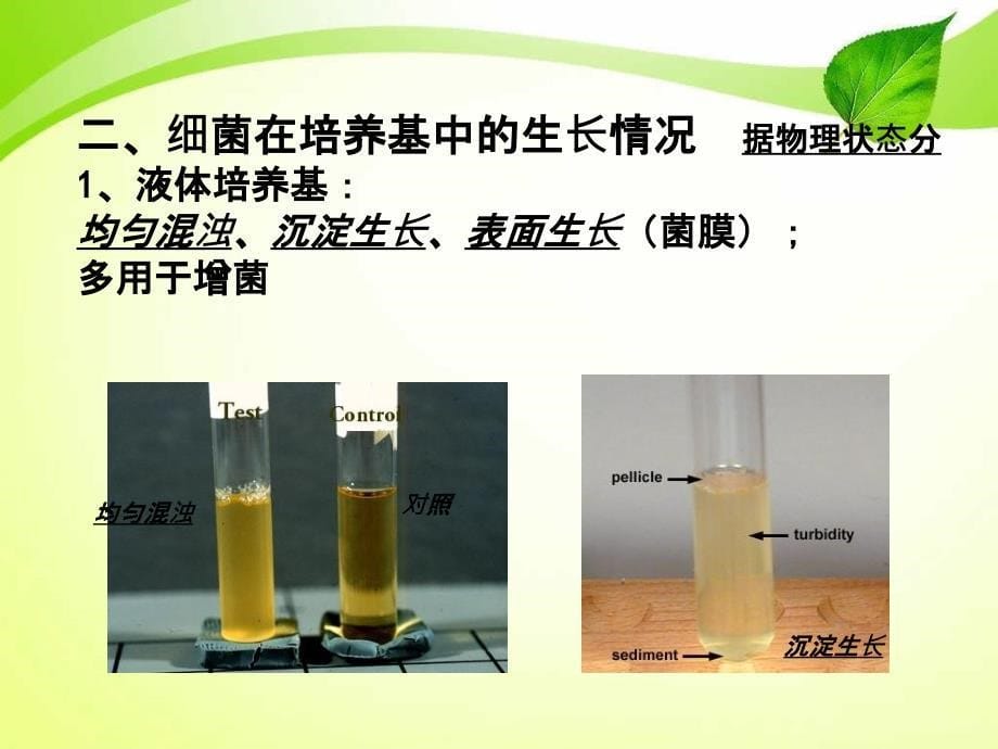 医学微生物学实验三_第5页