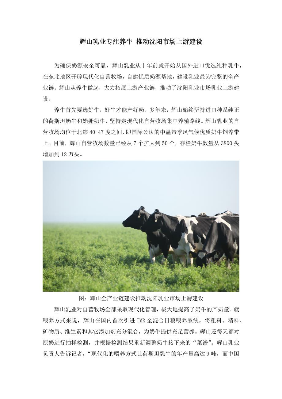 辉山乳业专注养牛推动沈阳市场上游建设_第1页