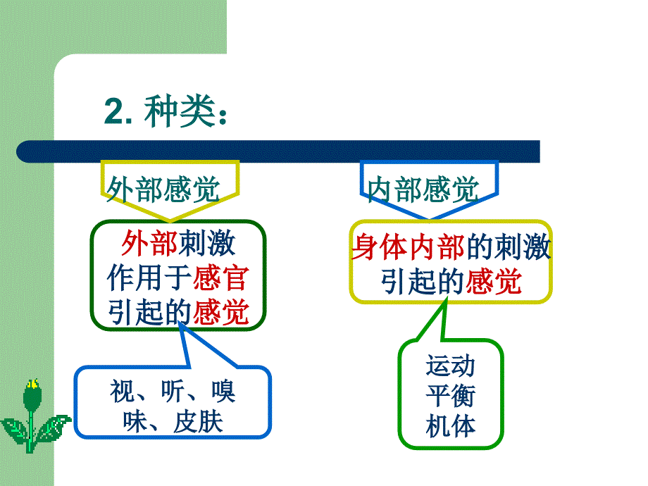 认识-感知-普通心理学.ppt_第4页