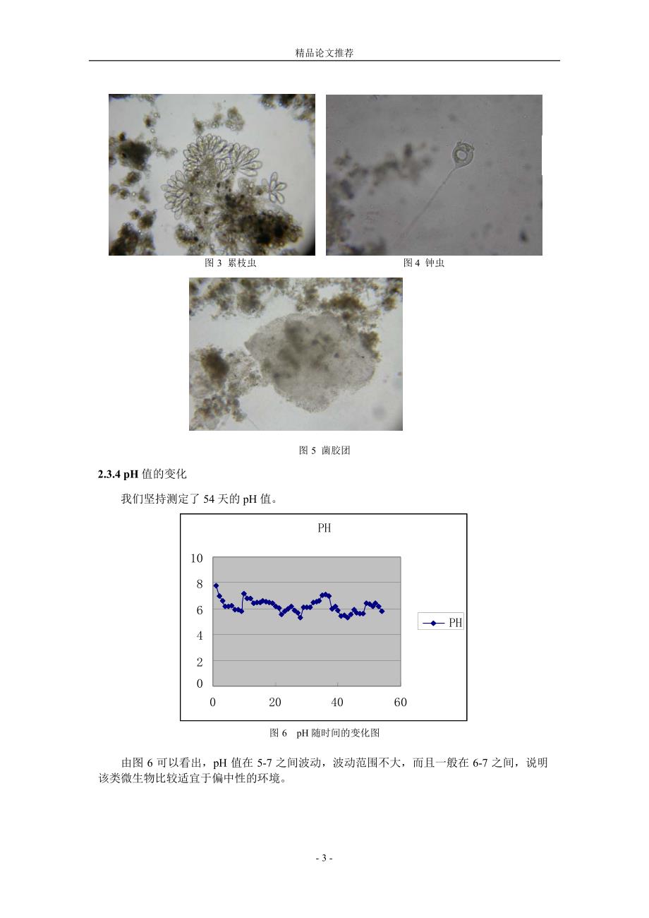 从活性污泥中培养驯化分离苯酚降解菌的实验研究_第3页