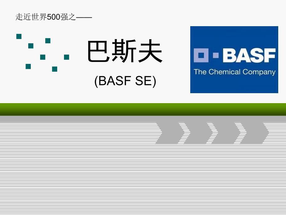 巴斯夫职业卫生_第1页