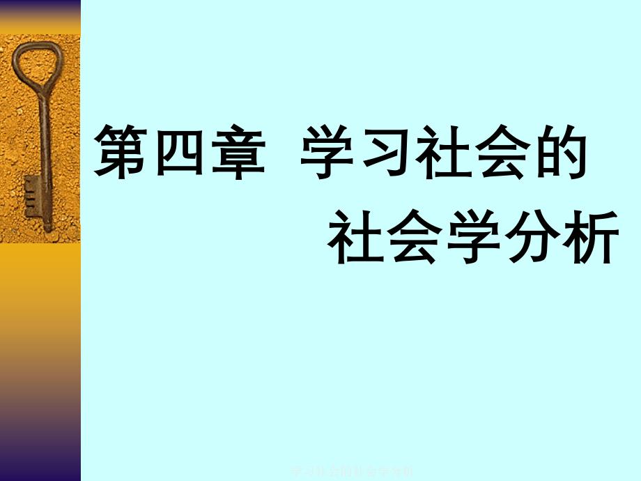 学习社会的社会学分析_第1页