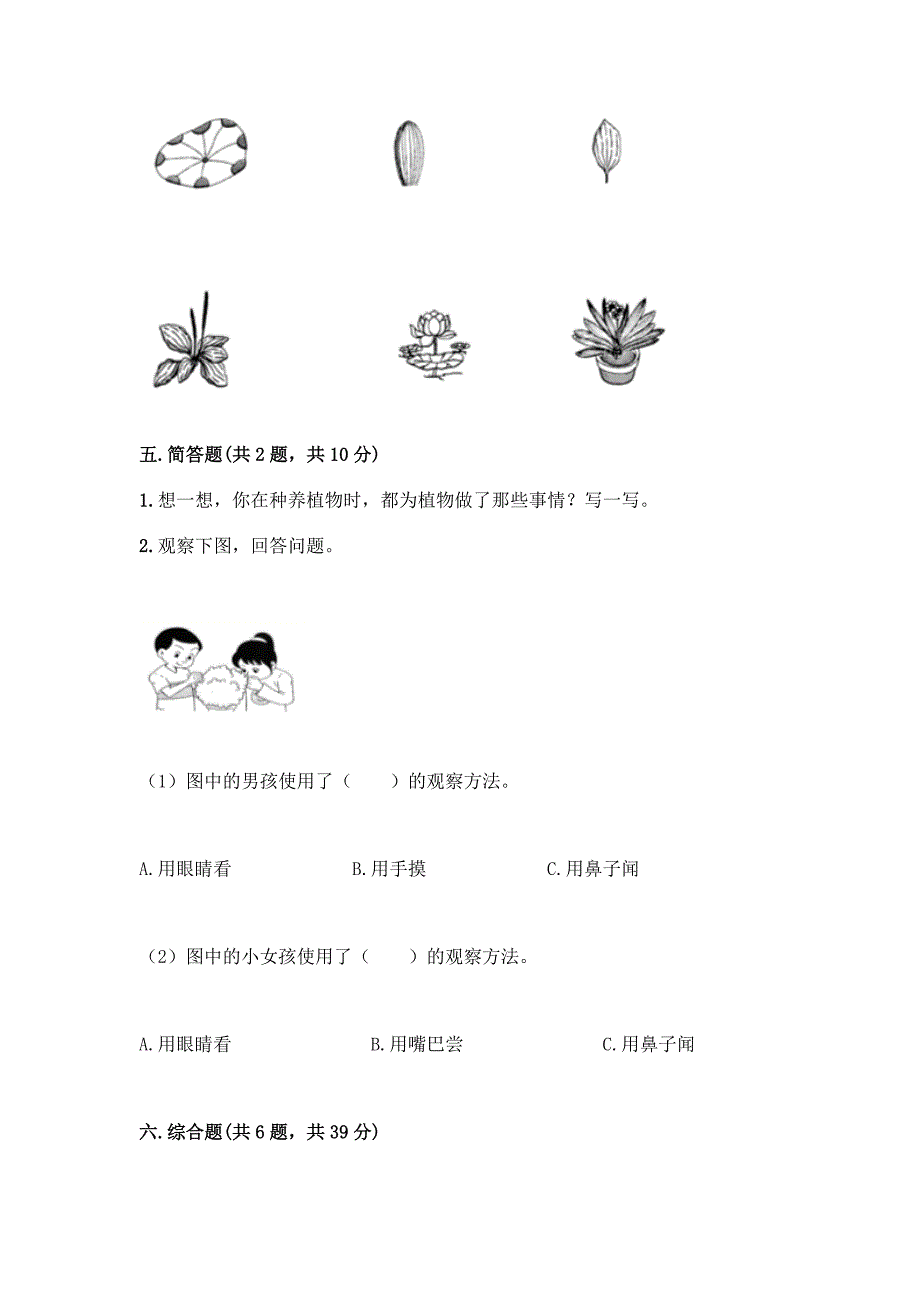 教科版科学一年级上册第一单元《植物》测试卷【最新】.docx_第3页
