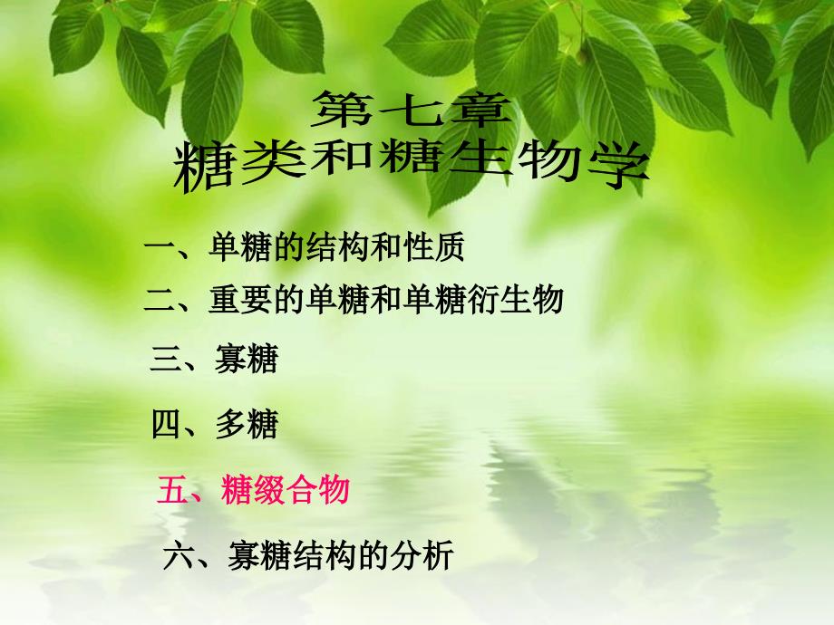 《蛋白聚糖》PPT课件_第1页