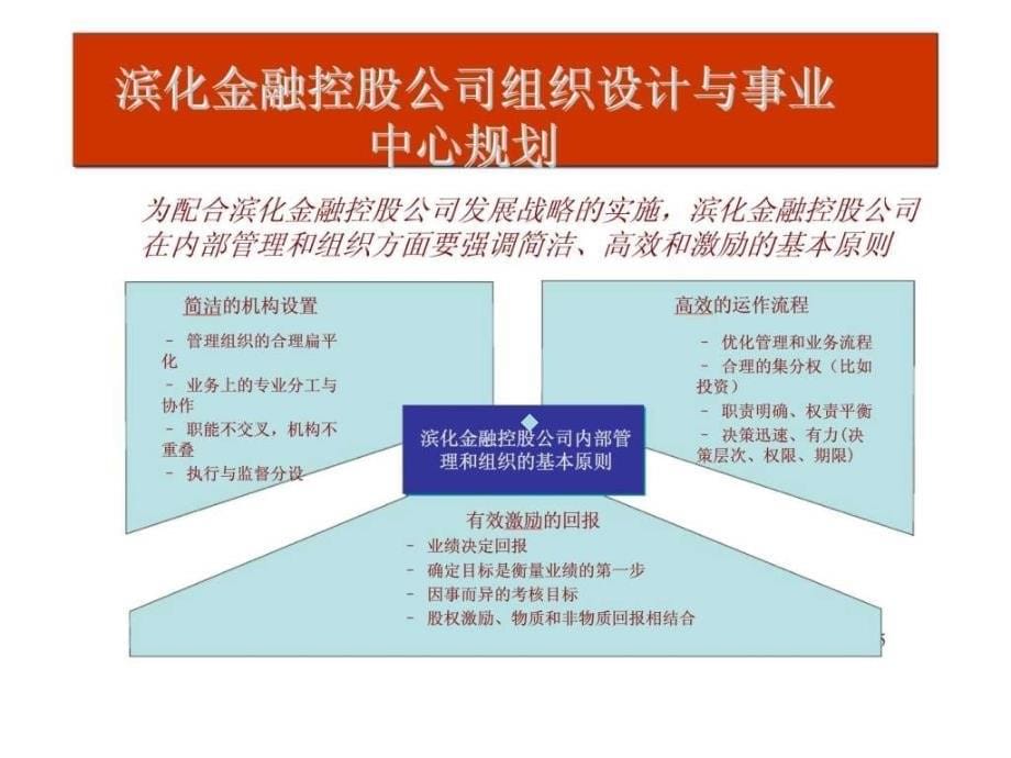 滨化金融控股公司发展规划课件_第5页