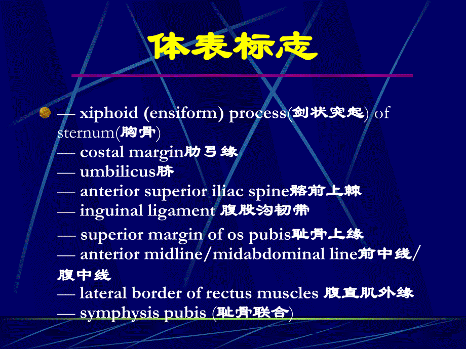 腹部体格检查_第4页