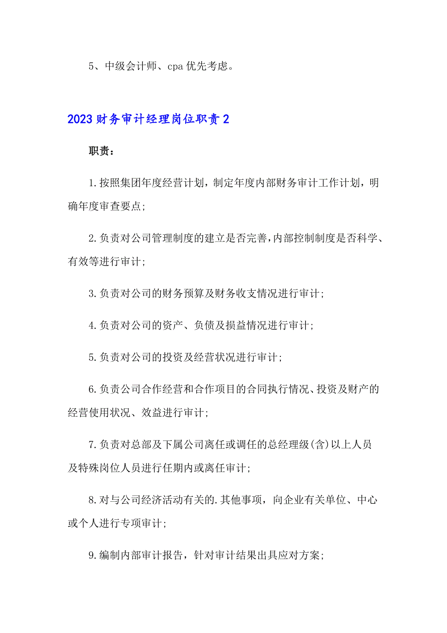 2023财务审计经理岗位职责_第2页