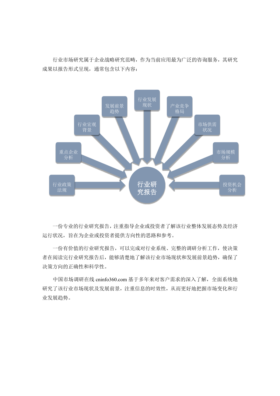 分析与发展前景研究报告(全新版)_调查报告_表格模_第2页