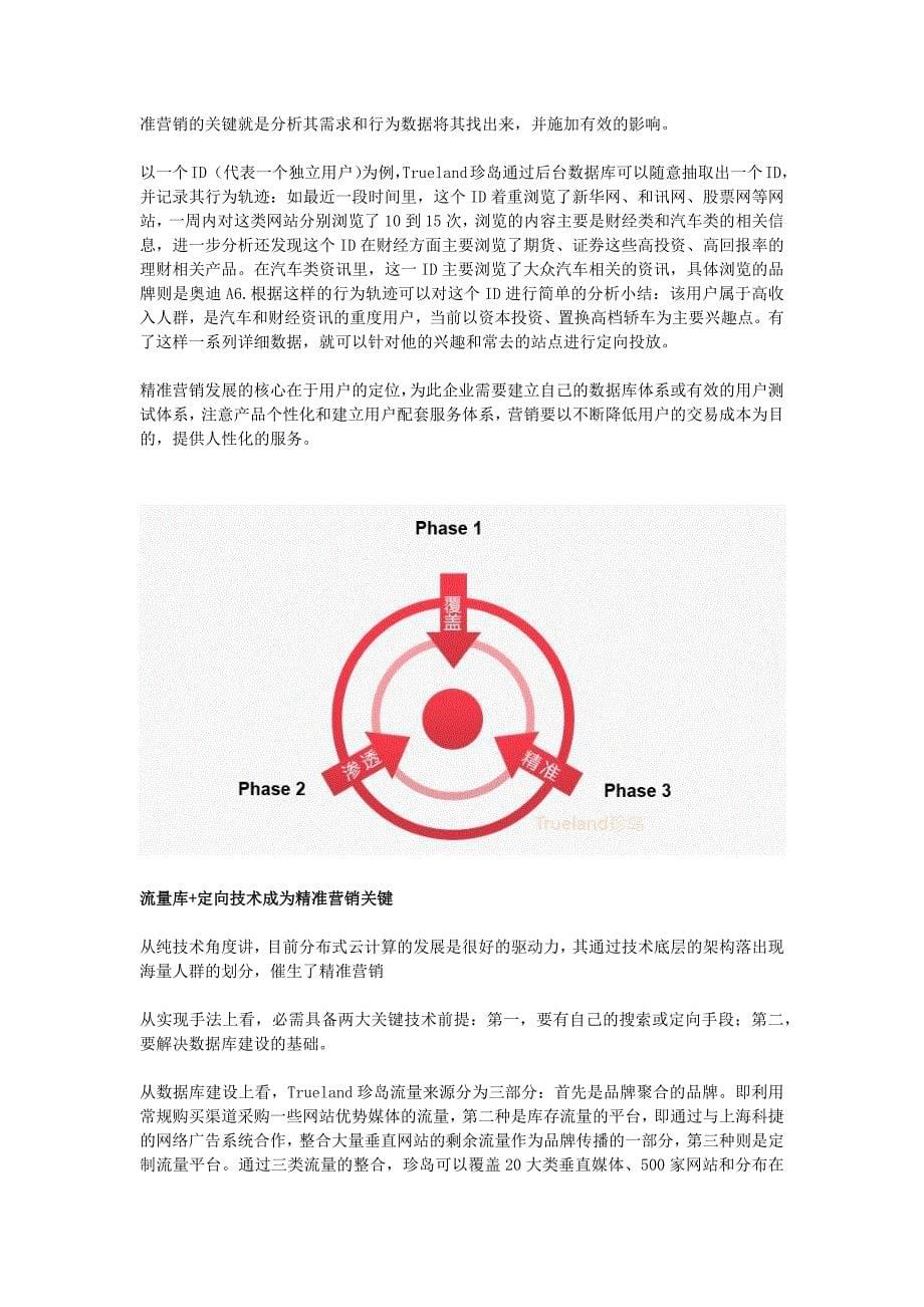 珍岛整合网络营销解决方案策划(共13页)_第5页