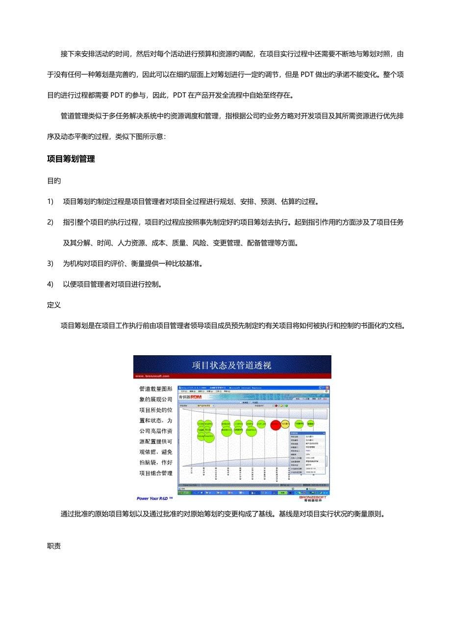 样例研发专项项目管理标准手册_第5页