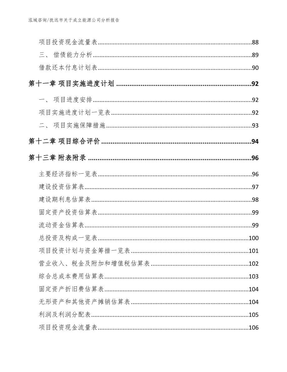 抚远市关于成立能源公司分析报告模板参考_第5页