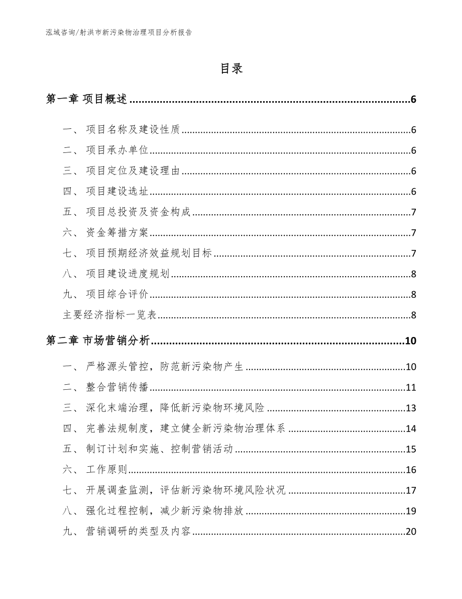 射洪市新污染物治理项目分析报告（模板参考）_第1页