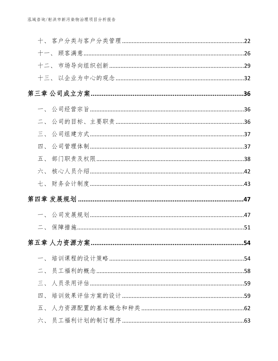 射洪市新污染物治理项目分析报告（模板参考）_第2页