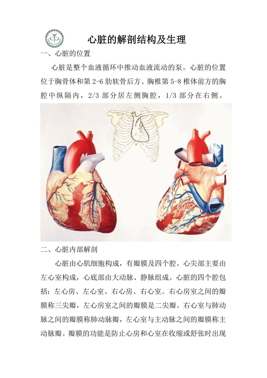 心脏的解剖结构及生理(含彩图)_第1页